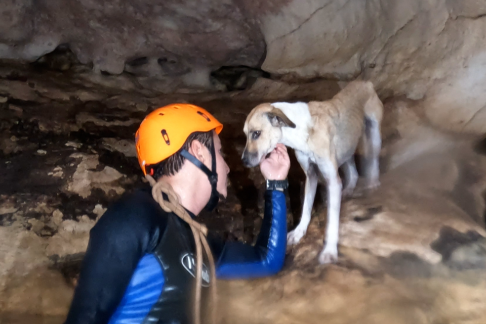 Rescatan a Shakira, una perrita que quedó atrapada en un pozo de agua por cuatro días