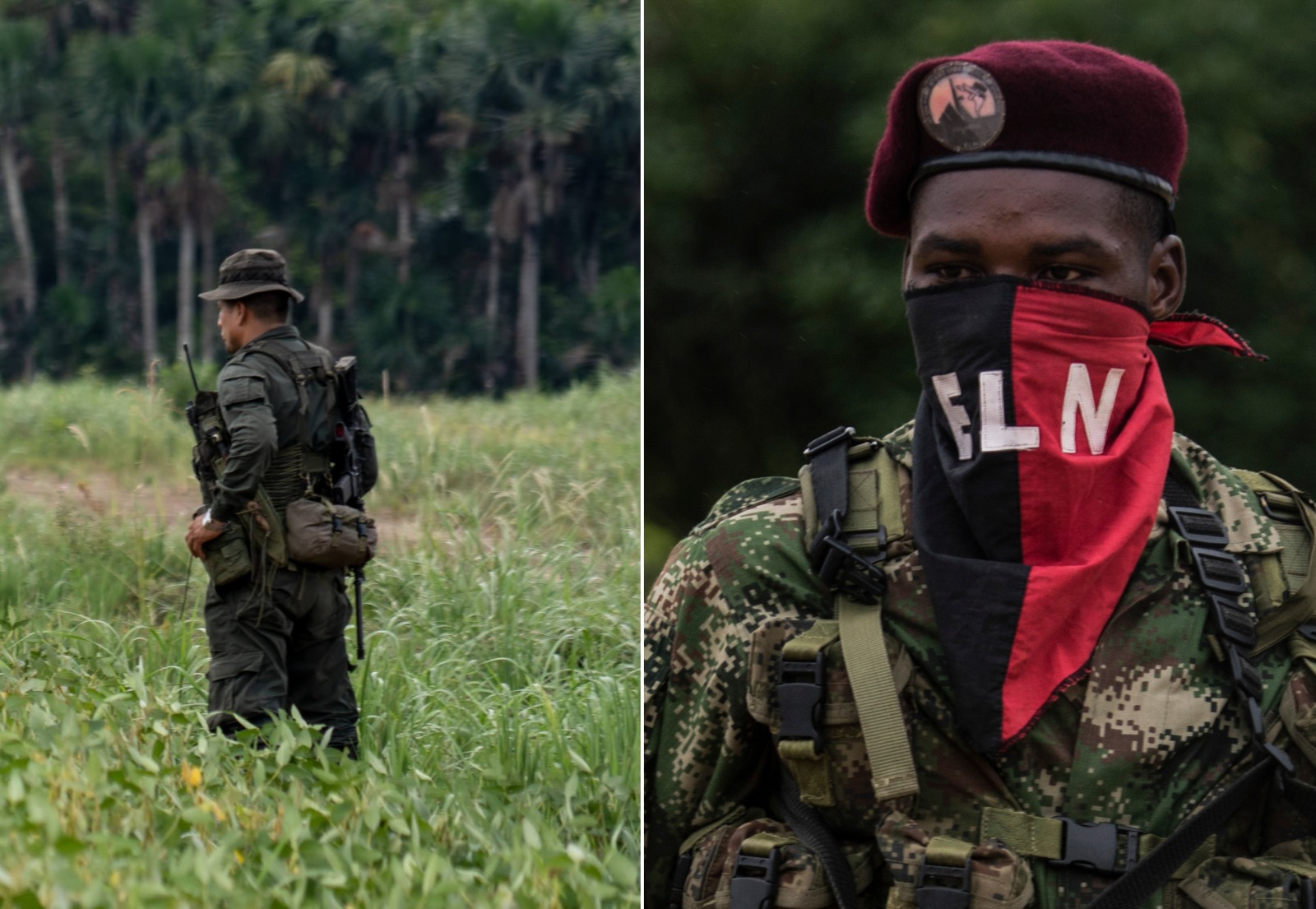El resurgimiento del Frente 33 y combates con el ELN alertan una “nueva” guerra en Catatumbo