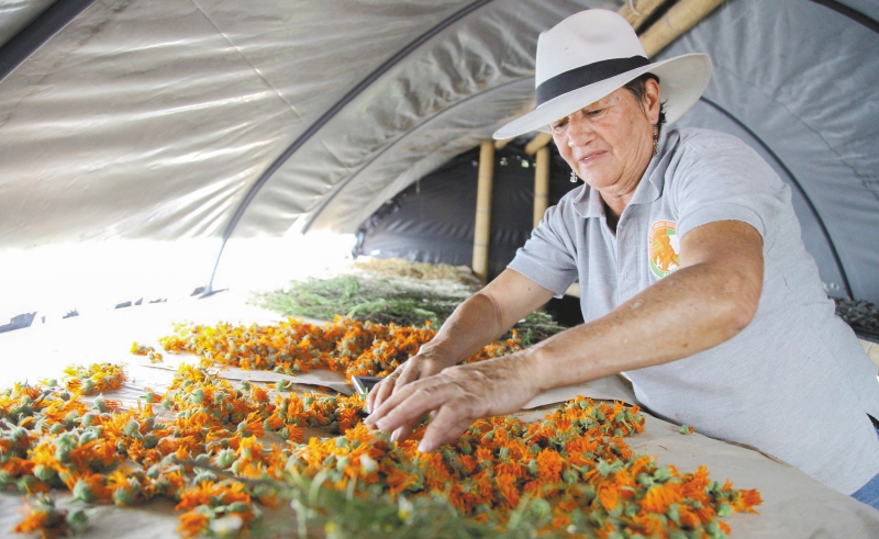 Aromas del campo que cautivan en el exterior