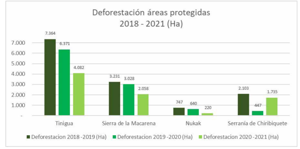 Deforestación amazonia
