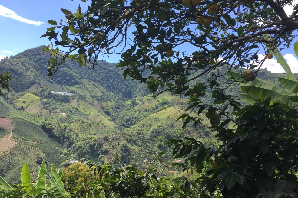 Turismo en Colombia, Neira, Caldas