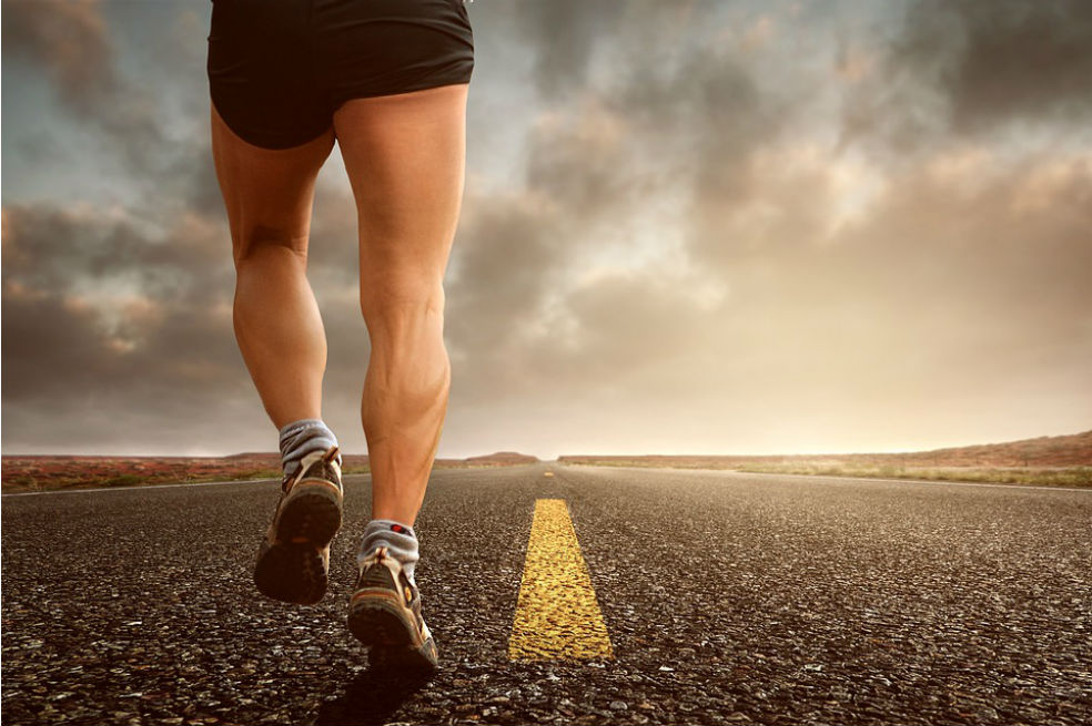 Breve historia del fitness y los elementos del Paleolítico como el entrenamiento físico ideal