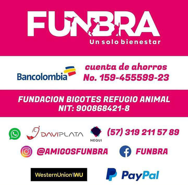 FUNBRA