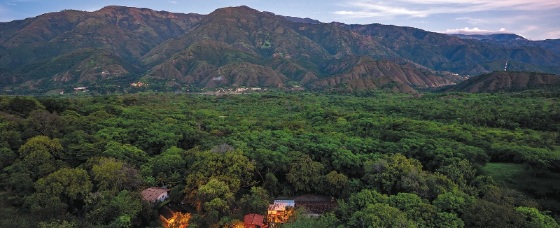 El potencial de la bioeconomía en Colombia también está en sus más de 60 millones de hectáreas de bosque. /Banco de imágenes ambientales Instituto Humboldt.


