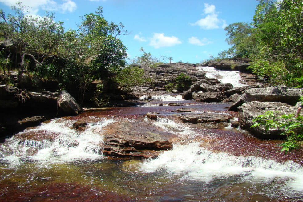Se abren dos senderos más para la actividad ecoturística en Caño Cristales