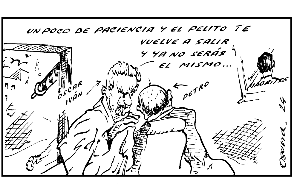 Implante capilar