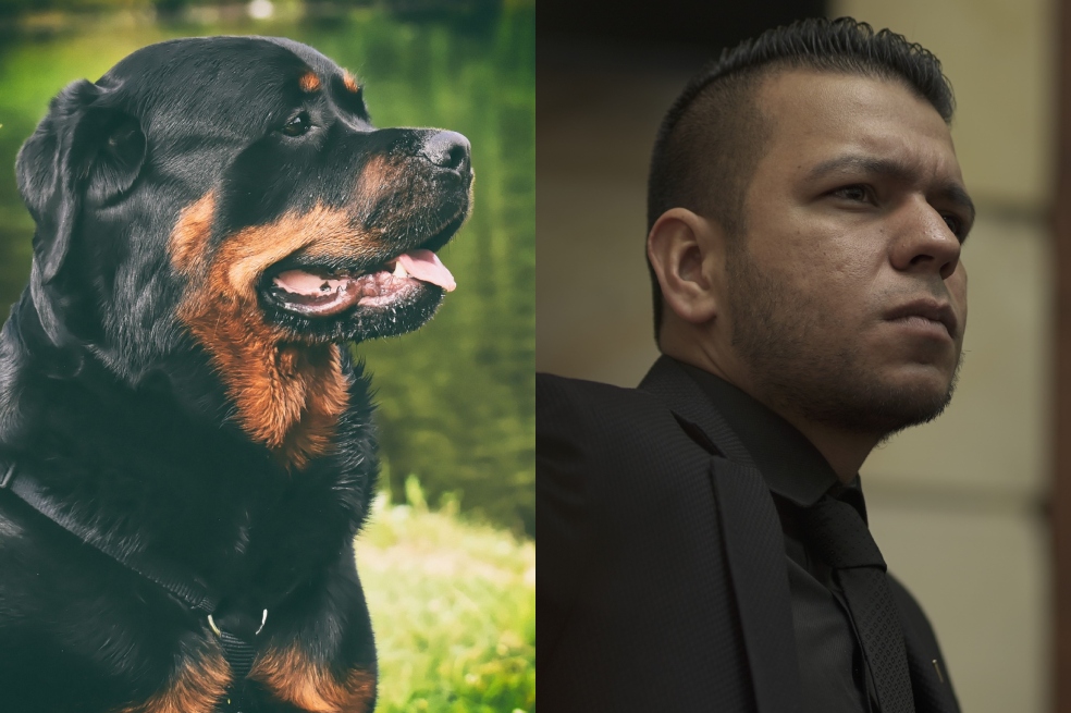 “Nunca estaría de acuerdo con el sacrificio de los animales”: Jota Pe Hernández