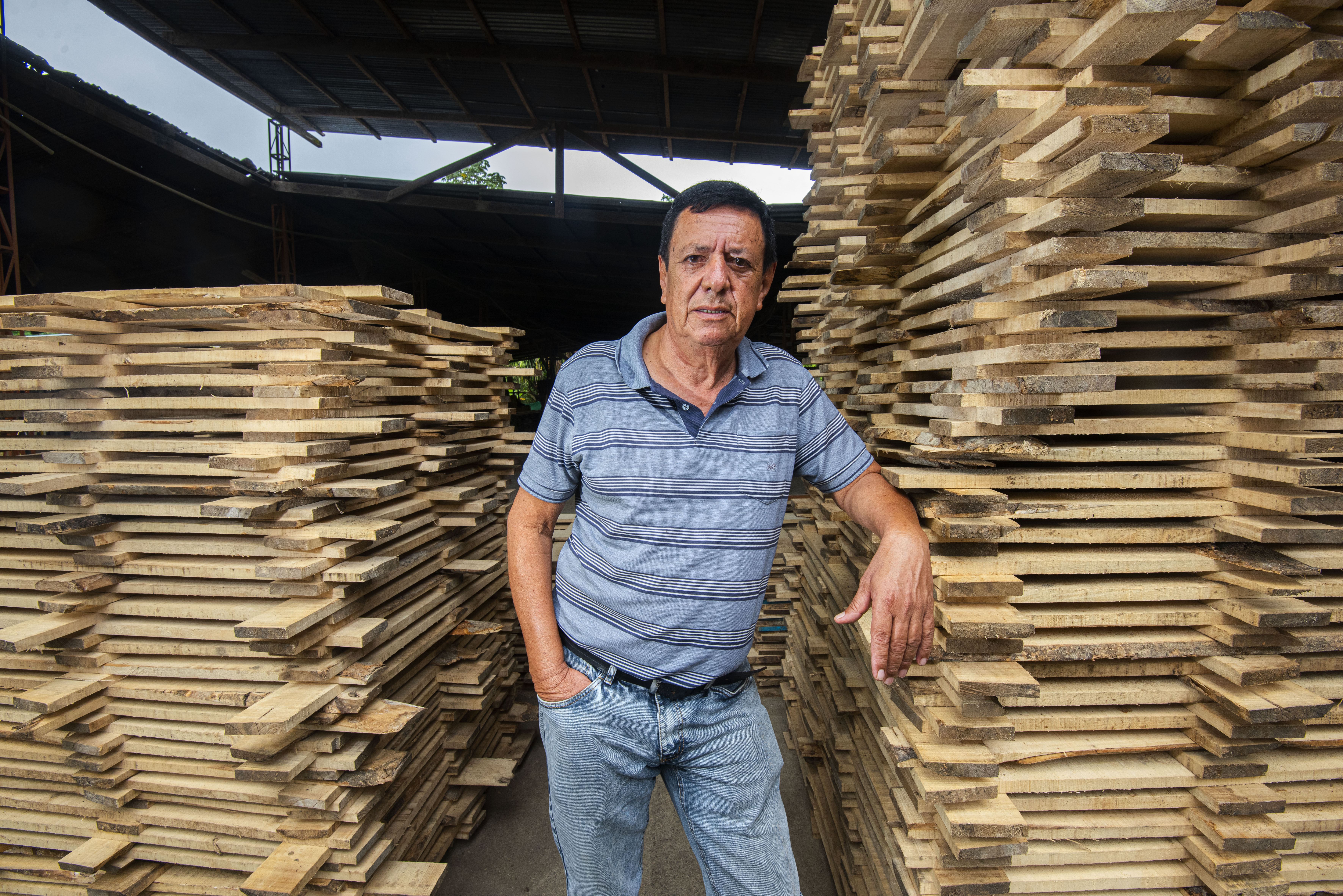 Aserríos el Arca, la empresa de Eduardo Rojas, maderero desde los 11 años de edad, es uno de los cuatro negocios en Putumayo adscritos a la página www.elijamaderalegal.com que buscan vender madera legal en el país.