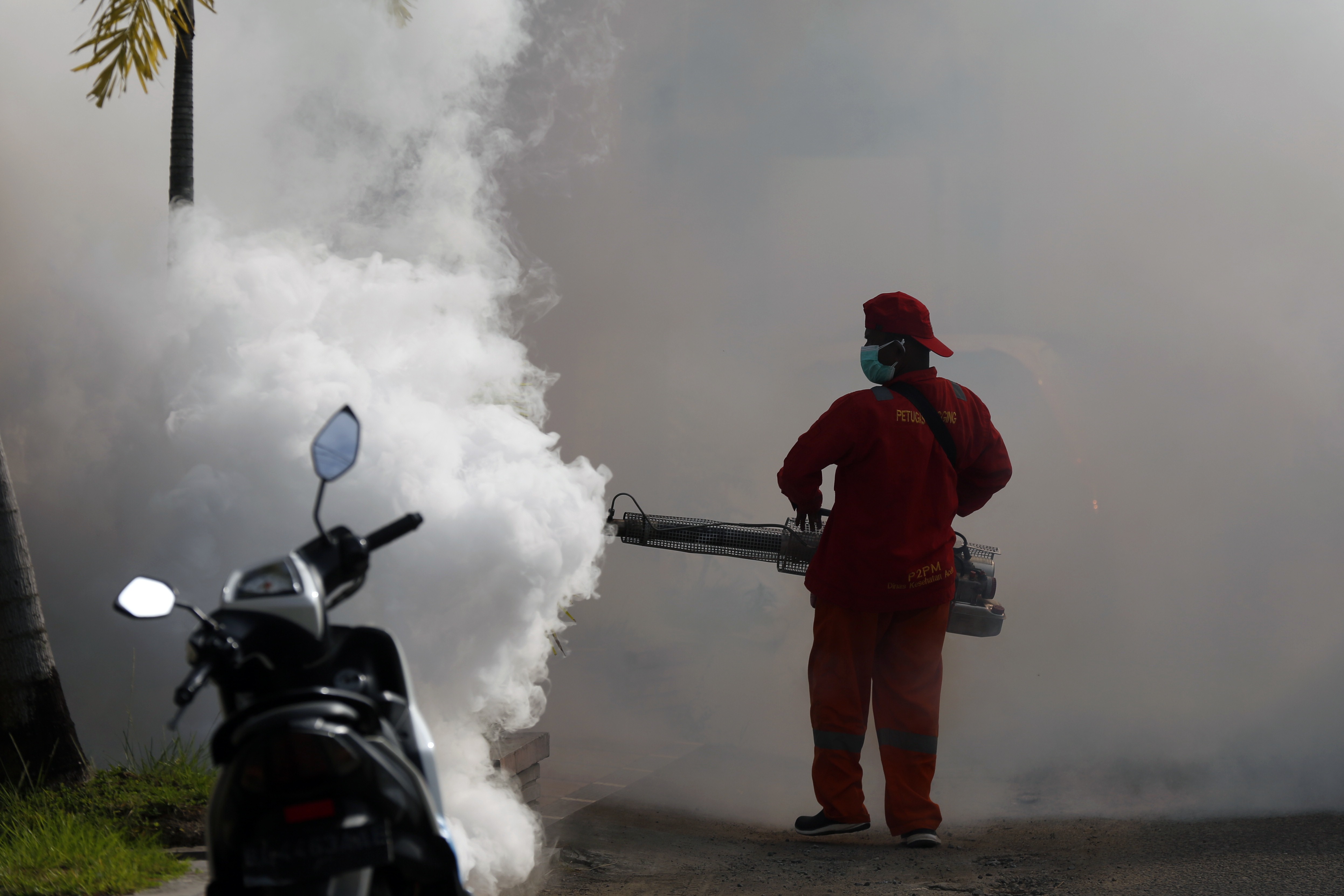 Cambio climático, el invitado no esperado en la epidemia del dengue