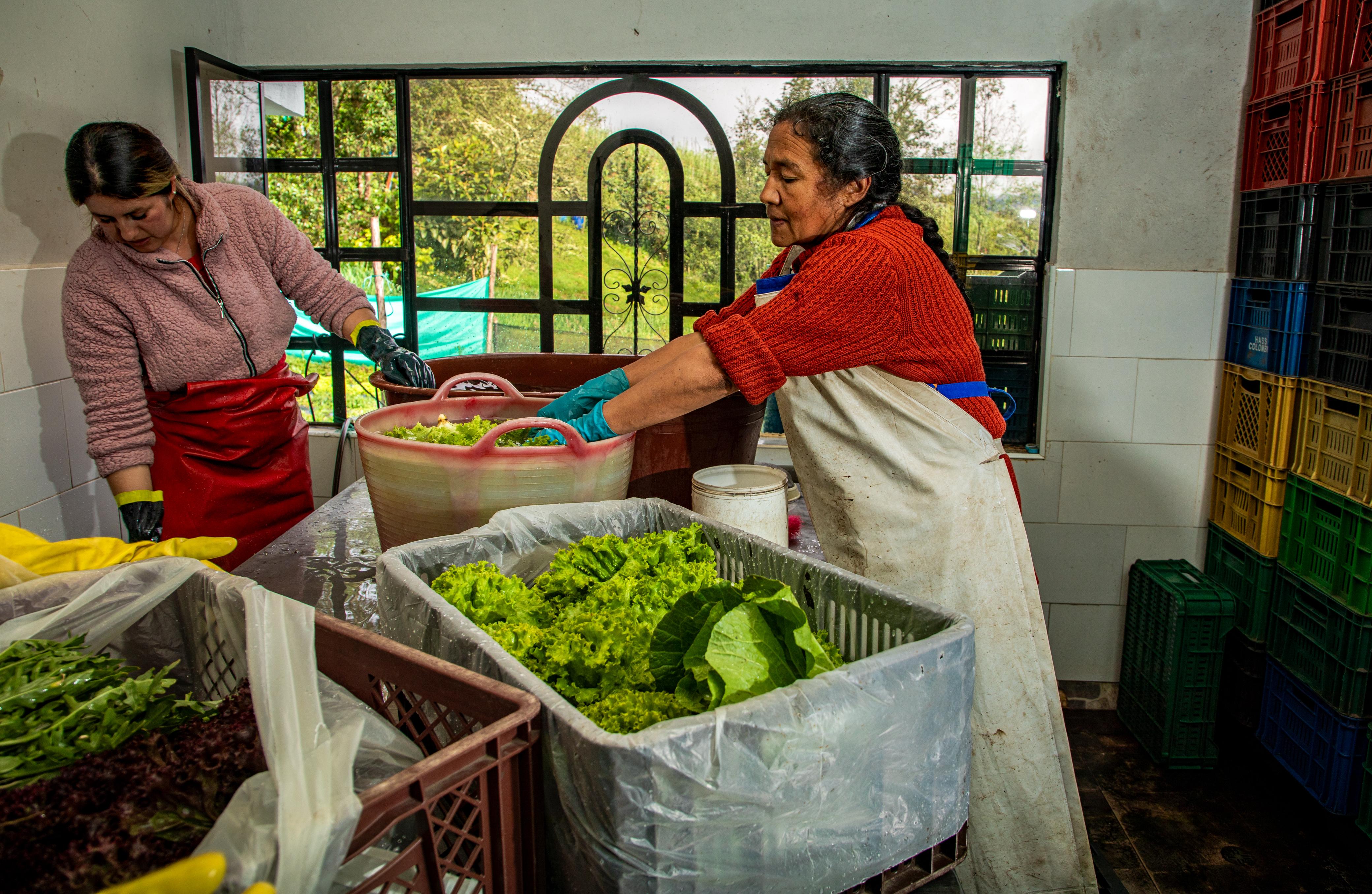 Mercados campesinos aportan a reducción de inseguridad alimentaria en Bogotá