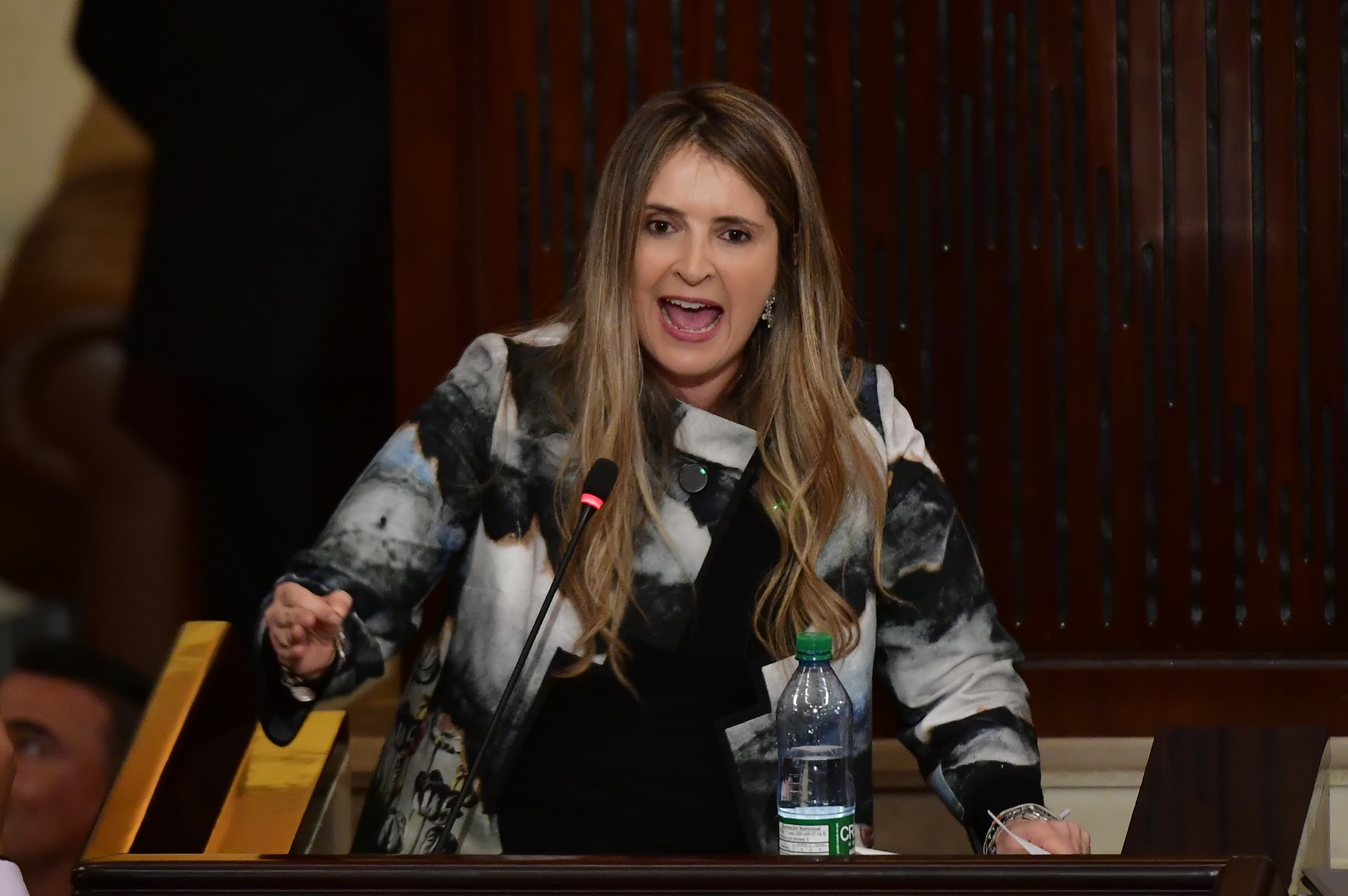 La senadora Paloma Valencia dio la réplica por parte del Centro Democrático.