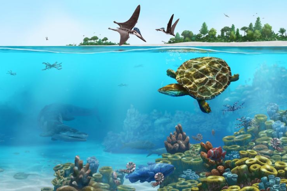Hallan fósil de una tortuga de 150 millones de años con curiosa forma de panqueque