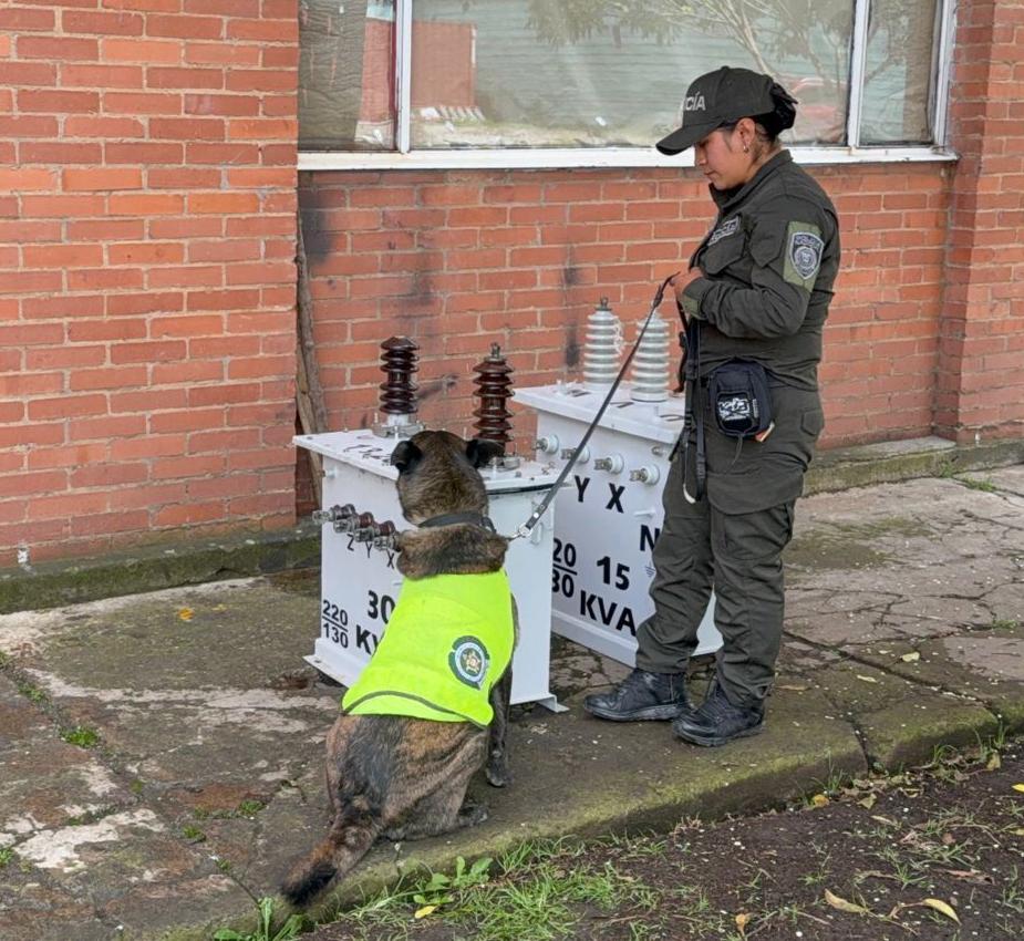 Canino antinarcóticos junto a la mercancía incautada.