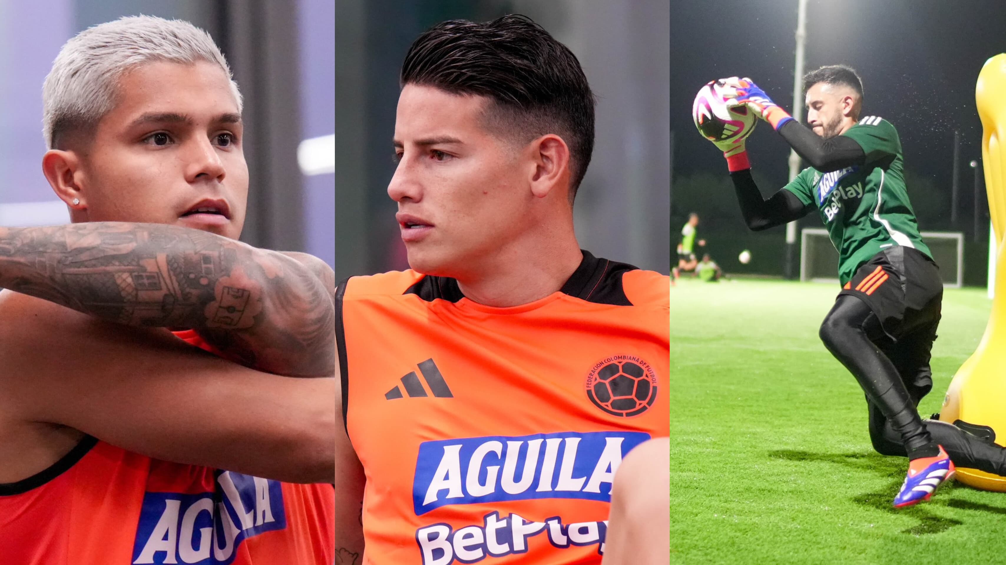 La selección de Colombia ya está en Barranquilla: así avanza la concentración