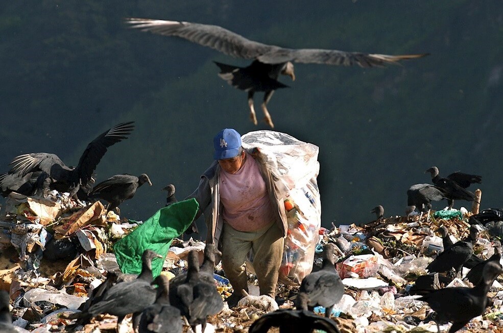 El mundo desperdicia 1.300 millones de toneladas de comida anuales, mientras crece el hambre