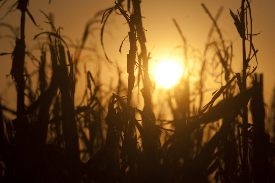 2012, el año más caluroso de la historia de Estados Unidos