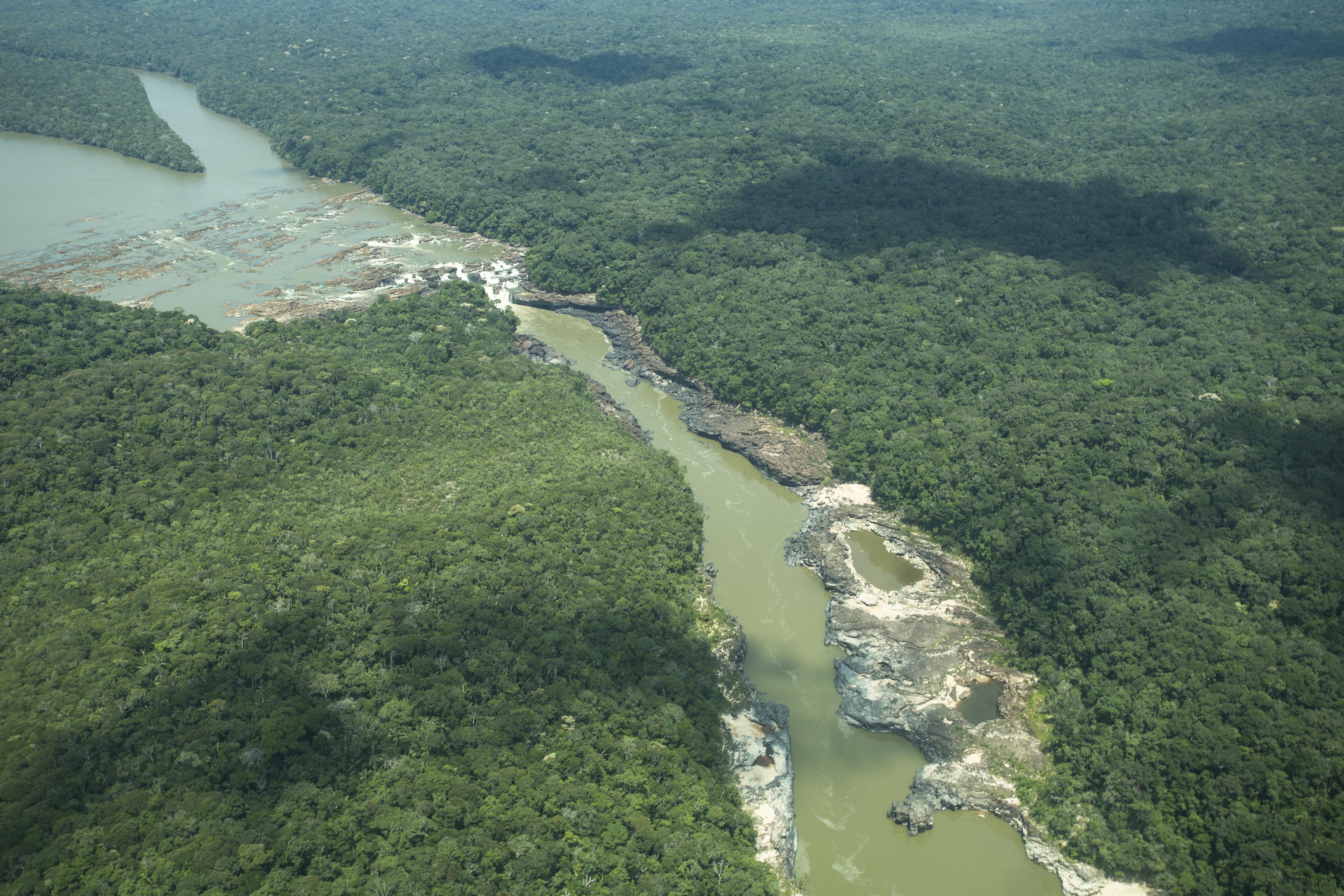 La minería amenaza con acabar con el Parque Nacional Yaigojé Apaporis