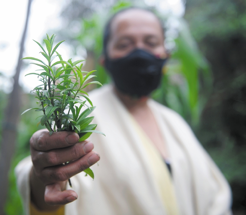 En Colombia, la bioeconomía deberá representar el 2,1 % del PIB para 2030