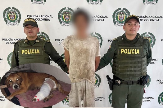 Justicia para todos: reportan primera captura por maltrato animal en Cundinamarca