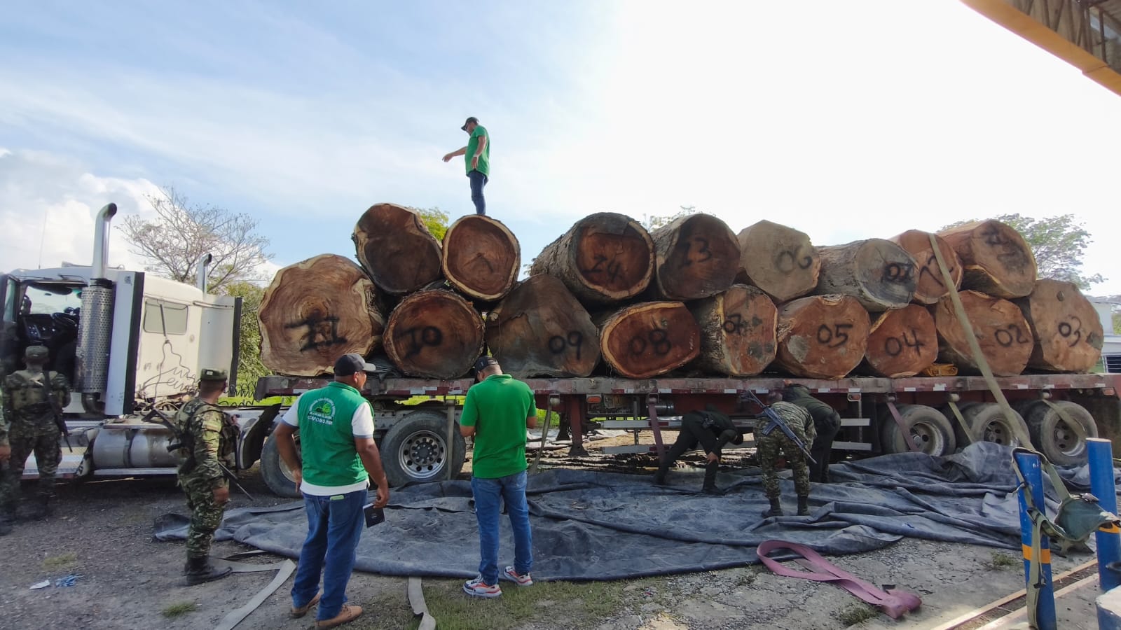 Operativo del Ministerio de Ambiente decomisa madera ilegal que se dirigía a Bogotá