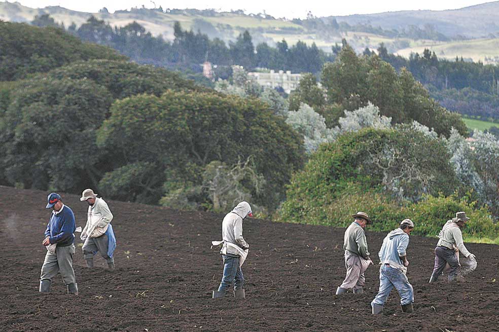 Concluye el documento que la agricultura familiar no sólo es posible, sino rentable, sostenible y que tiene como eje la consolidación de capital social. / Archivo