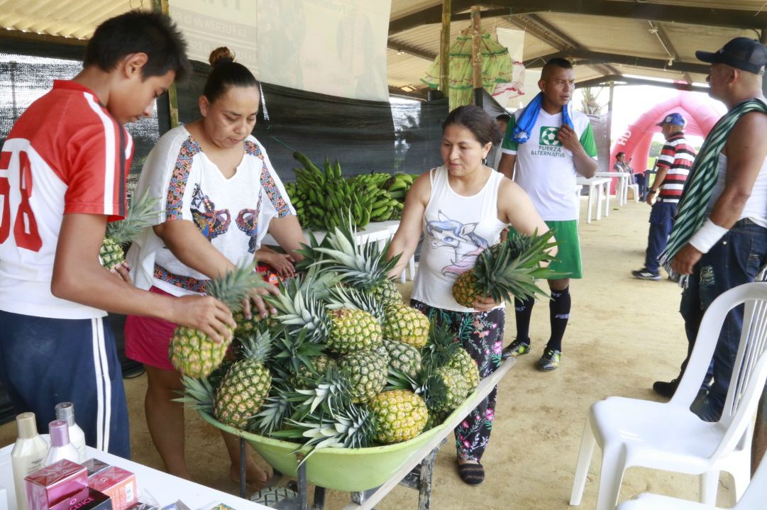 En medio de la conmemoración se han expuesto los productos agrícolas de los excombatientes. CortesíaCortesía Comunicaciones FarcEn la tarde del 23 de noviembre hubo presentaciones de bailes típicos del país a cargo de hijos e hijas quienes estuvieron en la guerra, así como de niños y niñasde veredas cercanas a los espacios de reincorporación. Incluso, en horas de la noche, decidieron apoyar el paro nacional con un cacerolazo.