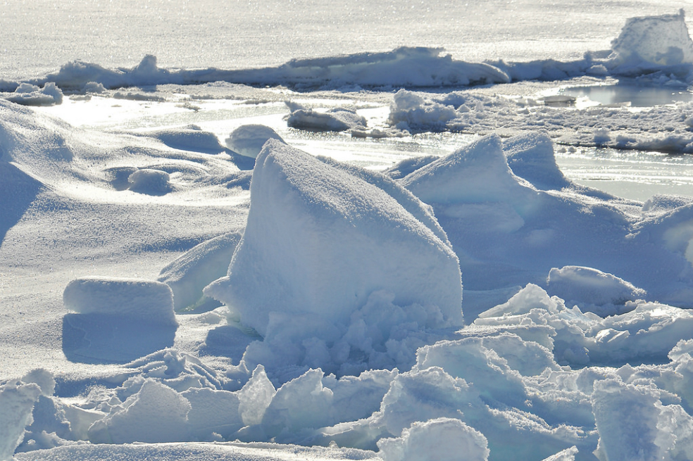 Hielos árticos registran su menor extensión invernal en 38 años