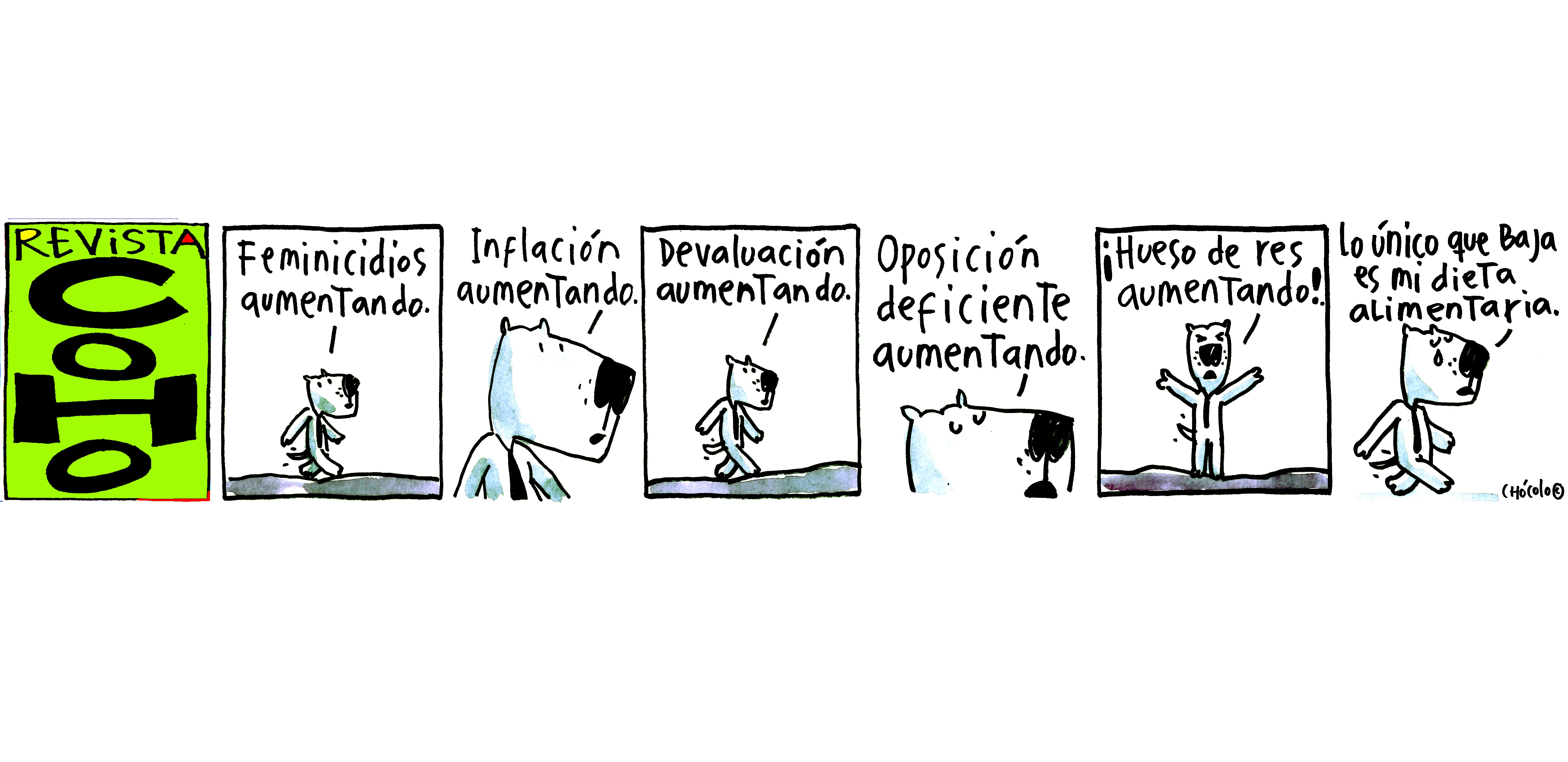 Revista CoHo