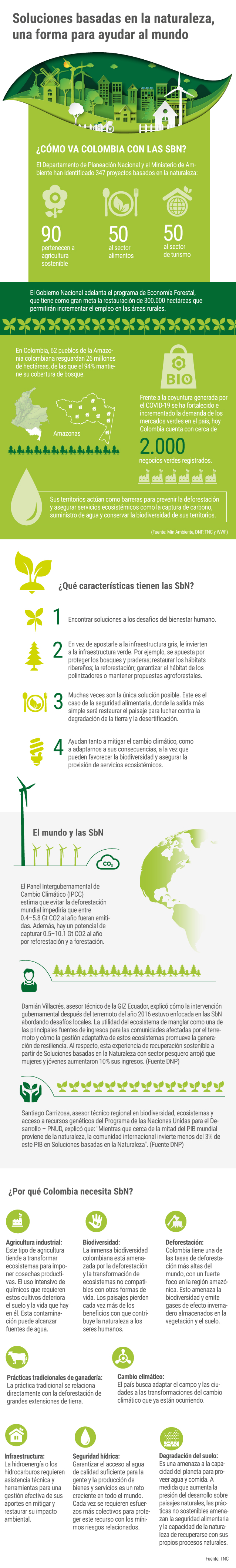 Soluciones basadas en la naturaleza para una reactivación sostenible.