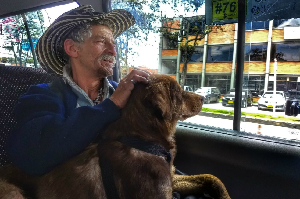Abuelo maltratado en Bogotá dice que fue víctima del conflicto