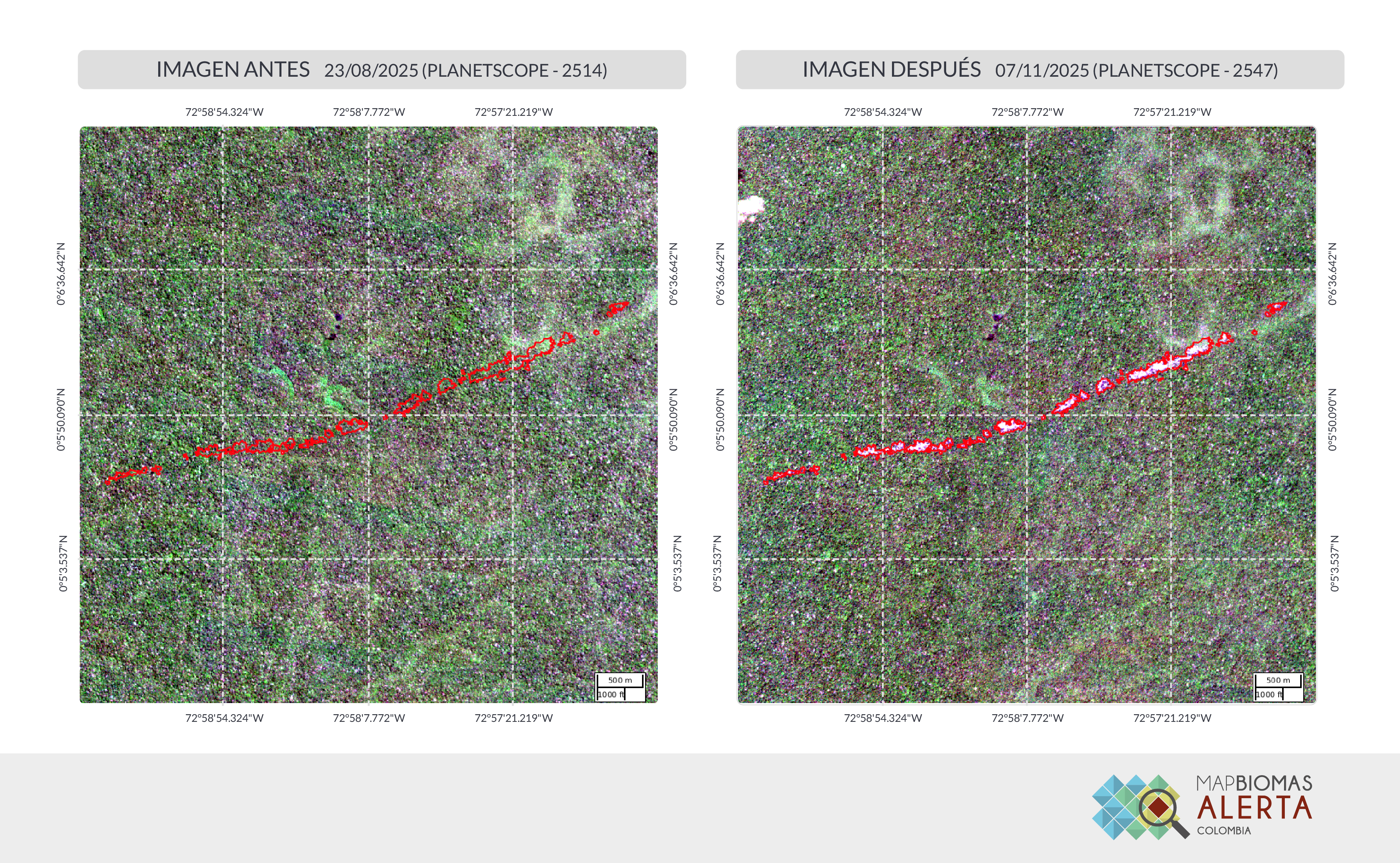 En 2025, en Chiribiquete se deforestaron cerca de 1.666 hectáreas, de acuerdo con MapBiomas Alerta.