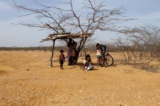 Judicatura advierte falencias en los programas de alimentación y educación en La Guajira