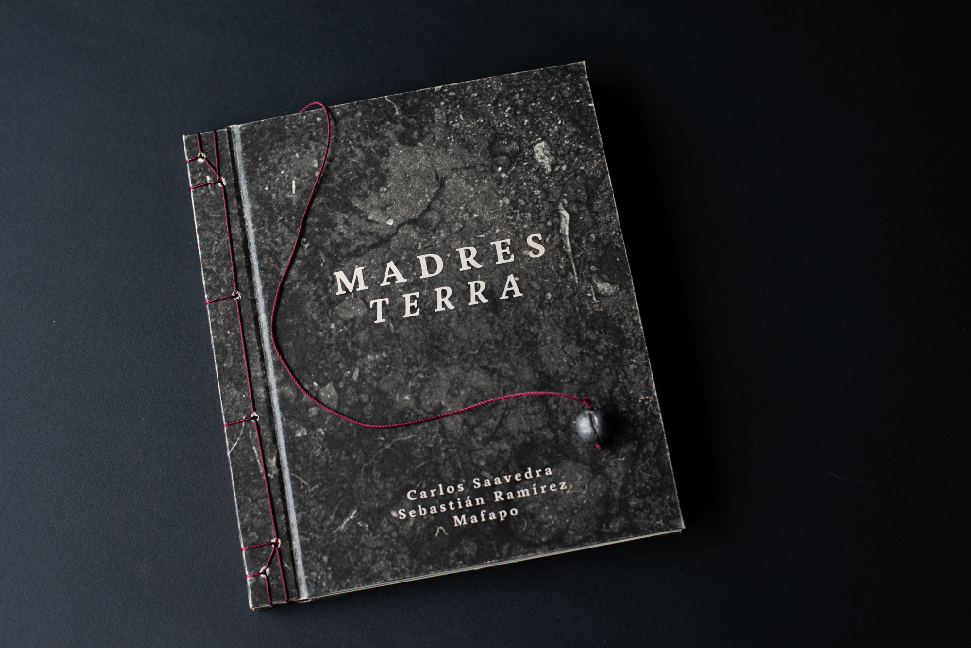 ‘Madre Terra’: el fotolibro que resalta la lucha de Madres de “falsos positivos”