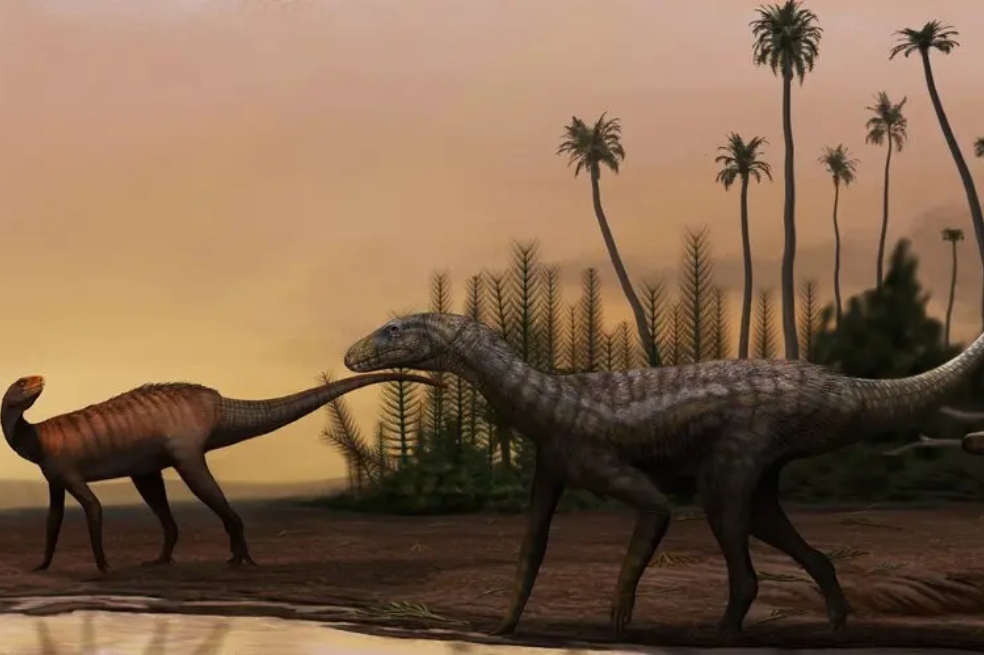 Esta es la estrategia con la que “resucitarán” animales extintos hace mucho tiempo