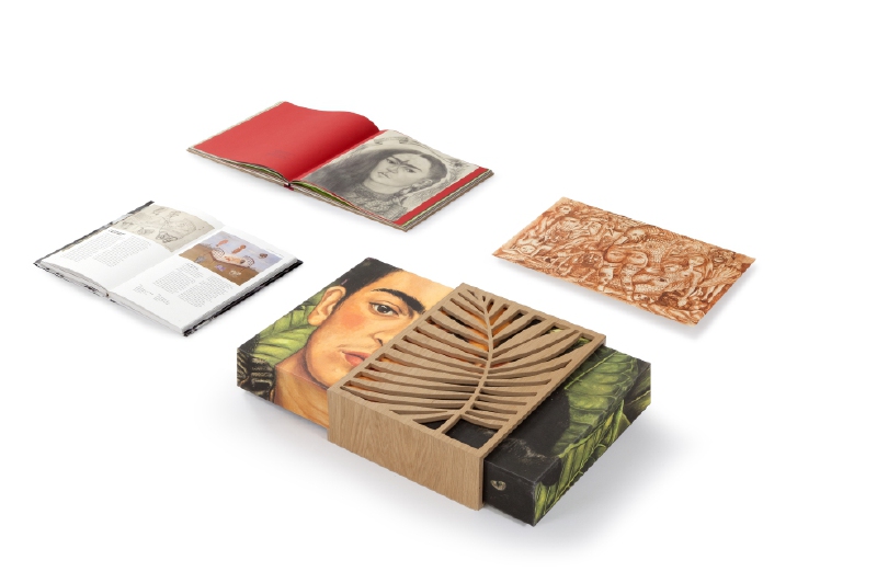 “Los sueños de Frida”, el ícono desde otra perspectiva