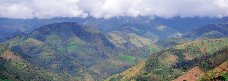 Predios vinculados a las Farc en Planadas (Tolima) seguirán en poder del Estado