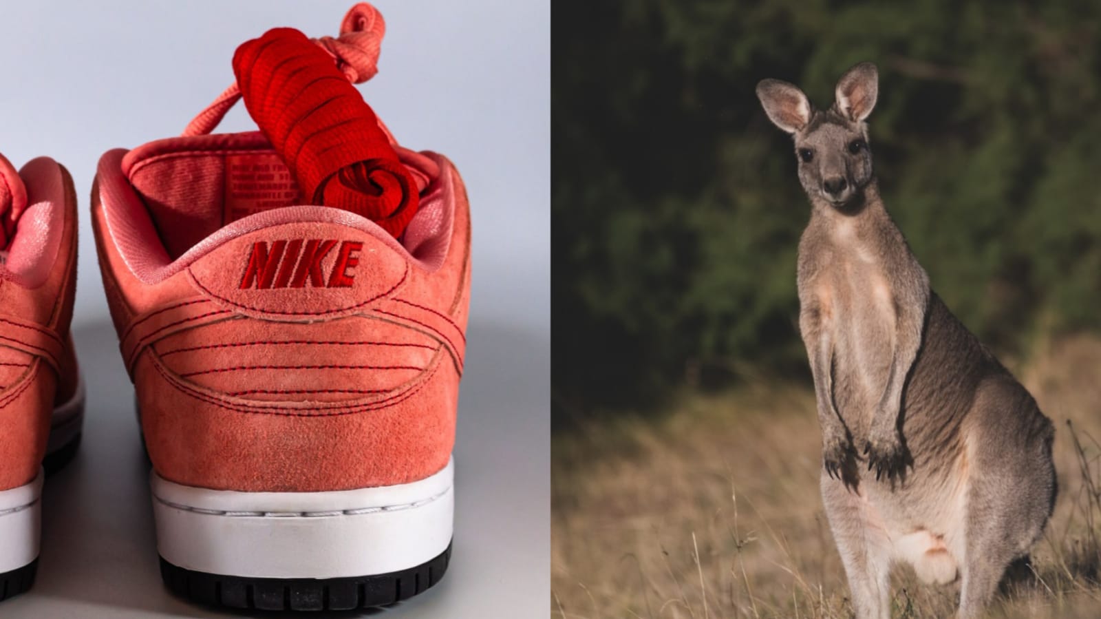 Nike anunció que dejará de utilizar pieles de canguro para fabricar su calzado