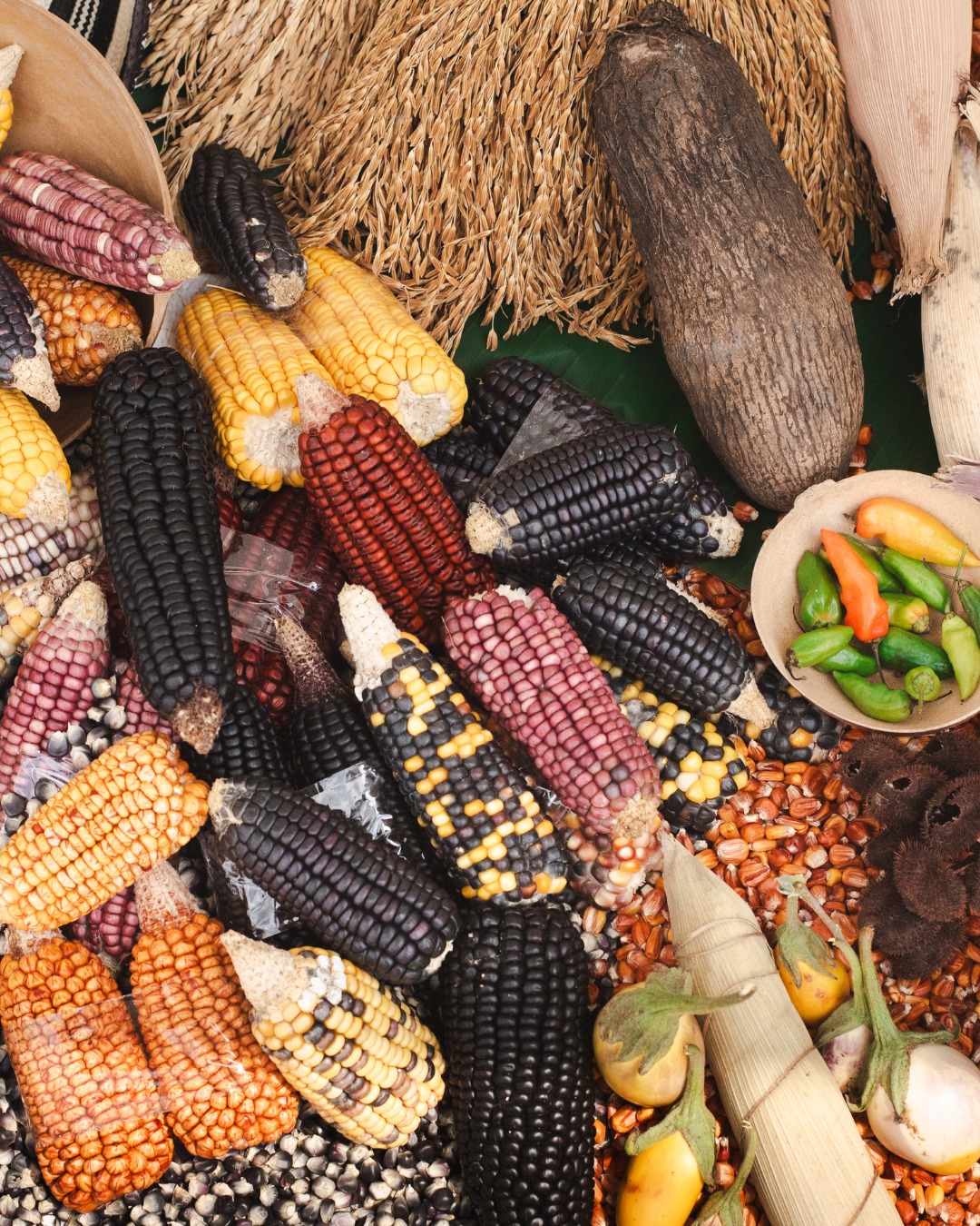 Cocinas Campesinas de Córdoba