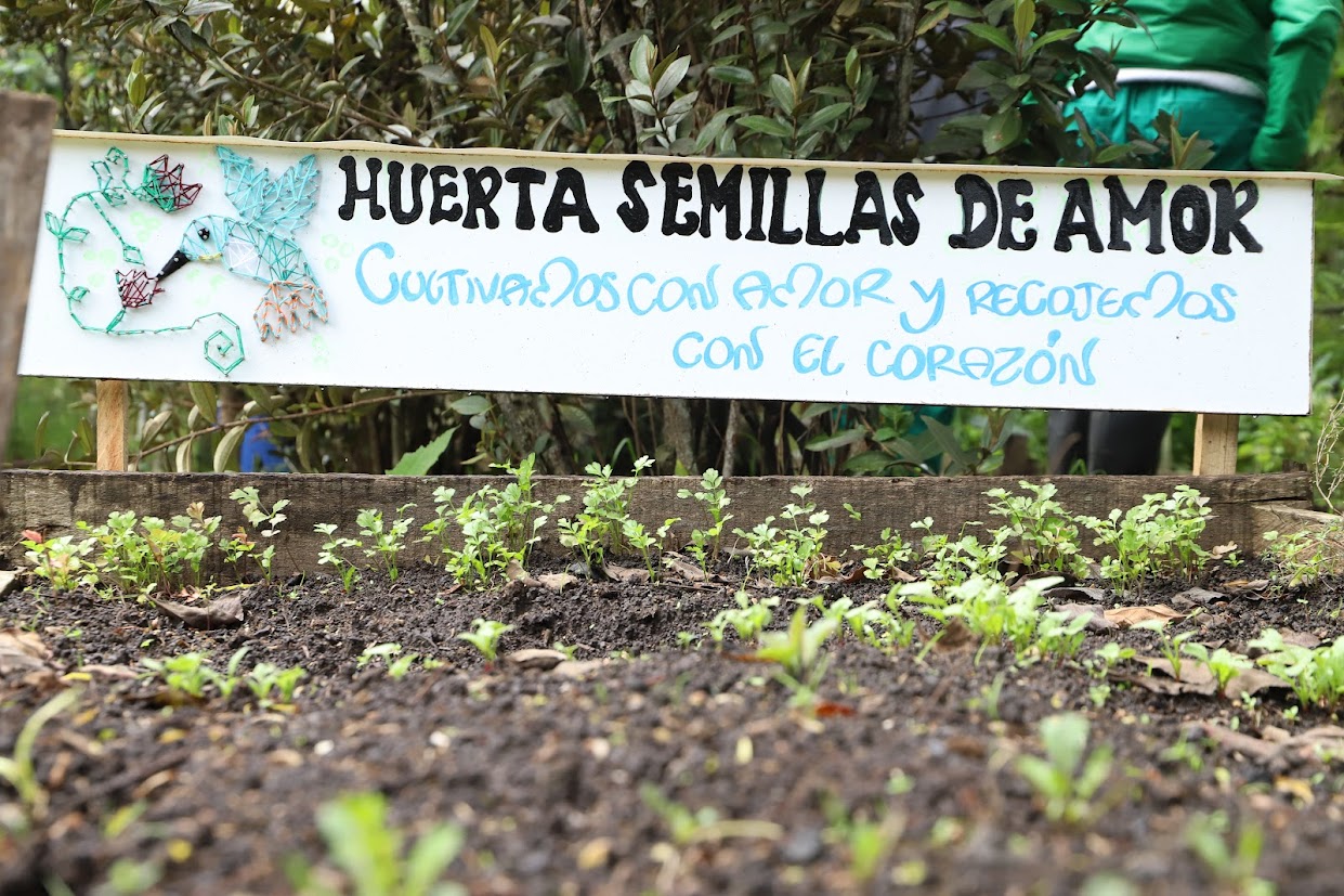 Unas 45 personas de los entornos barriales aledaños hacen parte de la iniciativa de huertas en Entrenubes. La estrategia busca incidir en la seguridad alimentaria y apropiación ecológica de los residentes aledaños.