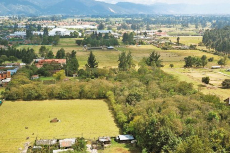 El restaurante que violaba la reserva Van der Hammen
