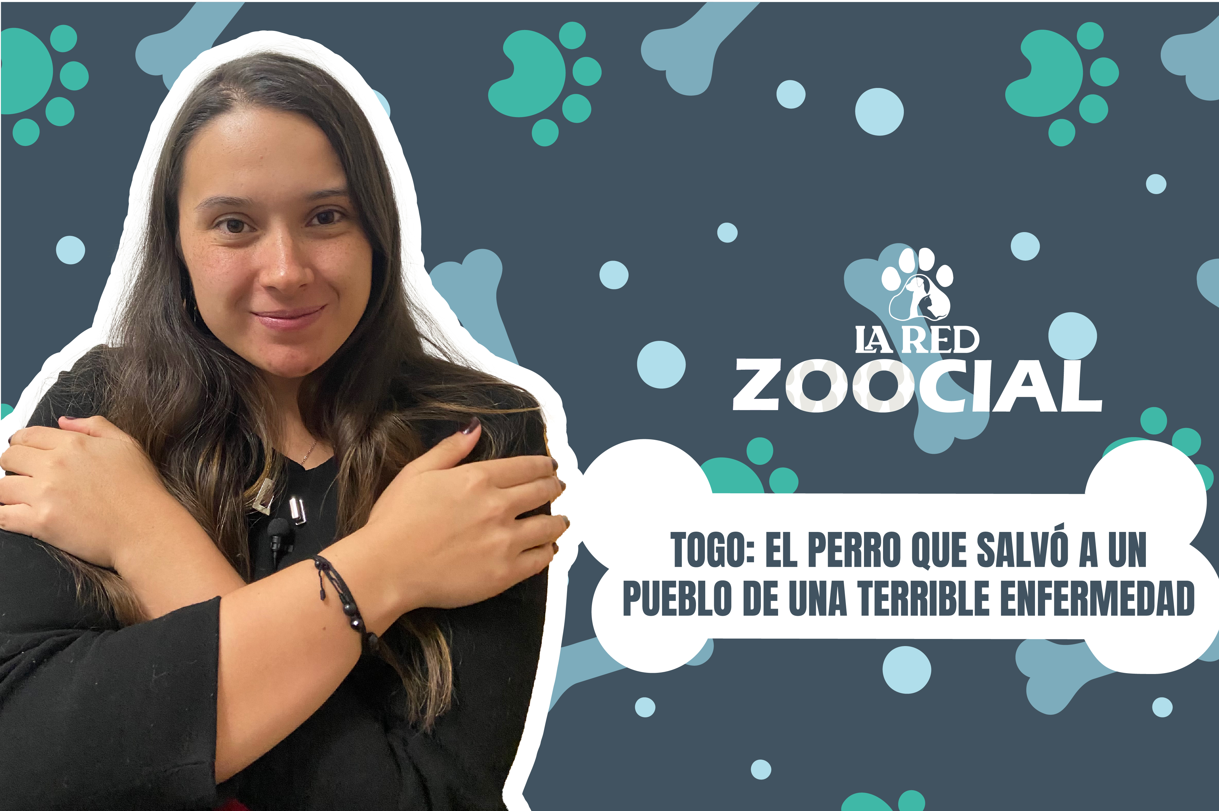 Togo: el perro que salvó a un pueblo de una terrible enfermedad