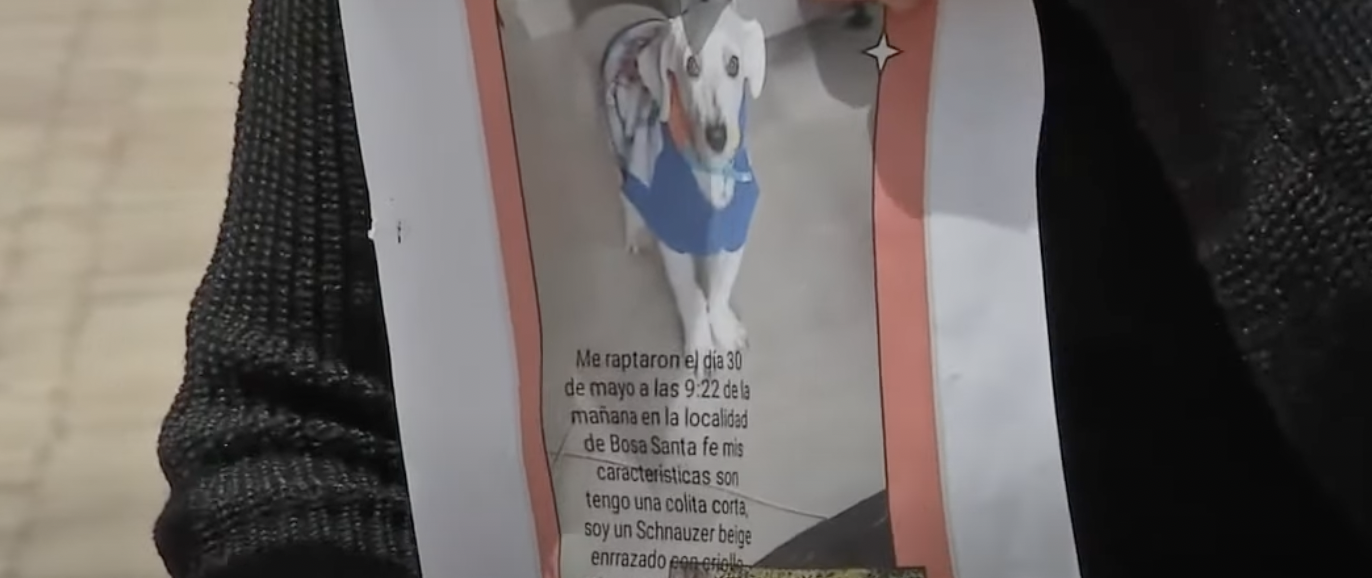 Robaron un perrito en Bosa: le ofrecieron comida y lo metieron a una bolsa de basura