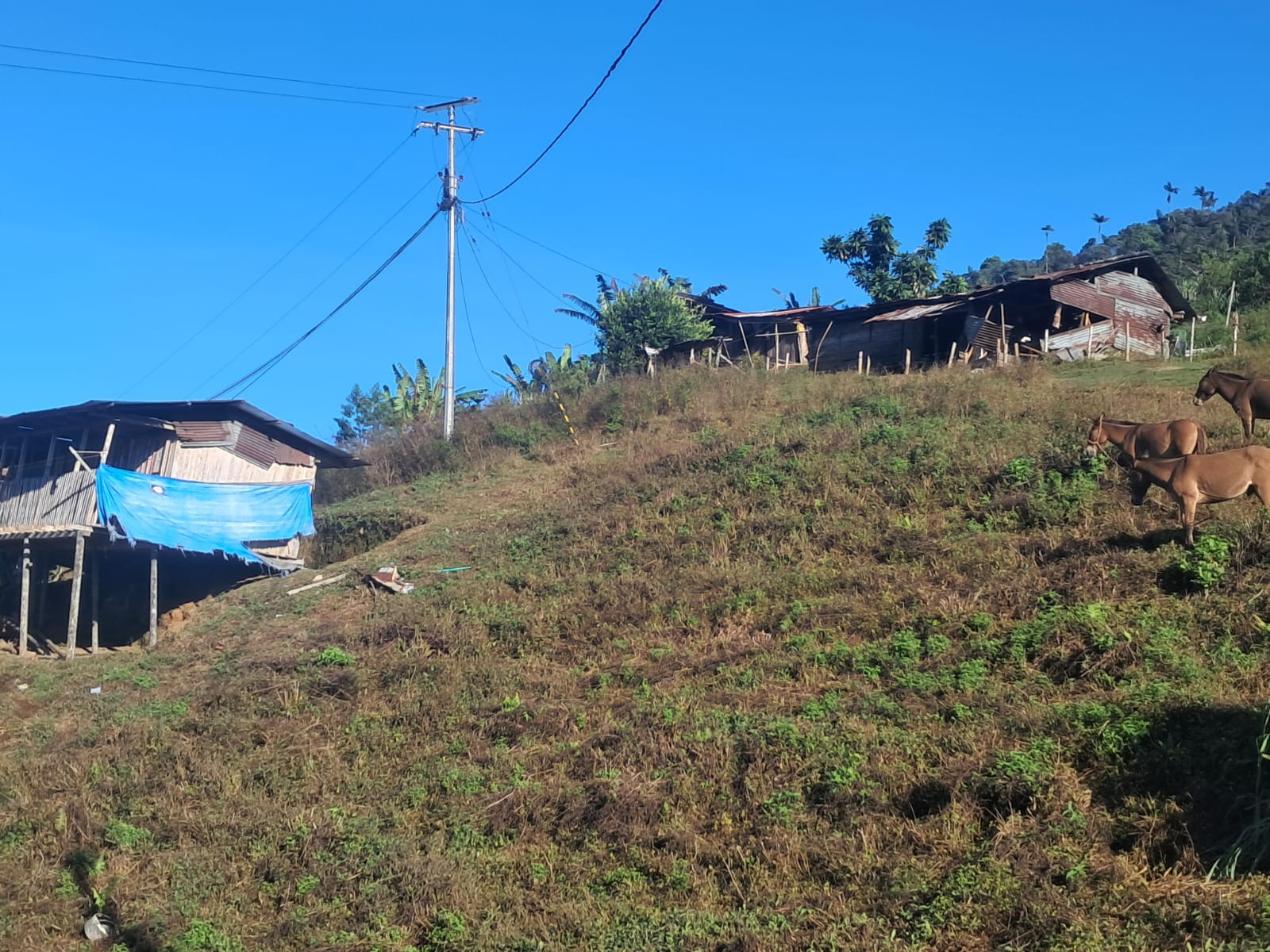 Terremoto en Chocó