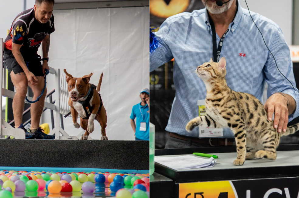 Prepárese para Expopet 2024: un mundo de diversión y cuidado para las mascotas