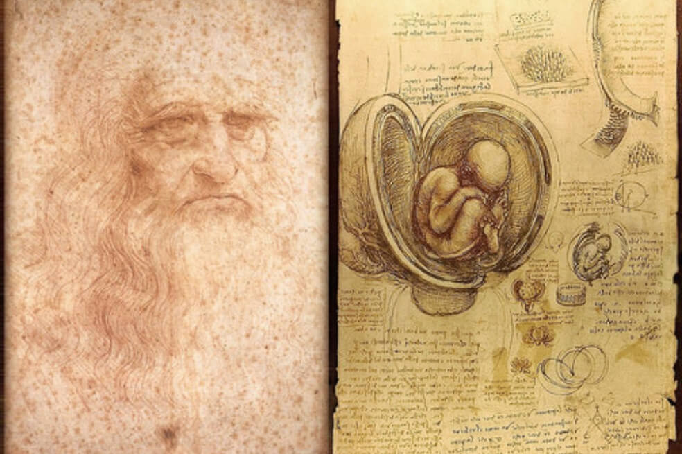 Cinco siglos sin Leonardo Da Vinci, el genio que dibujó las entrañas del cuerpo humano