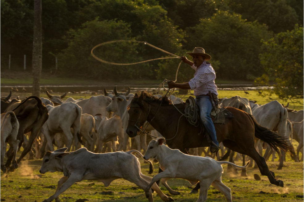 La indignación y pasión del Cholo Valderrama por los Llanos en “Jinetes del paraíso”