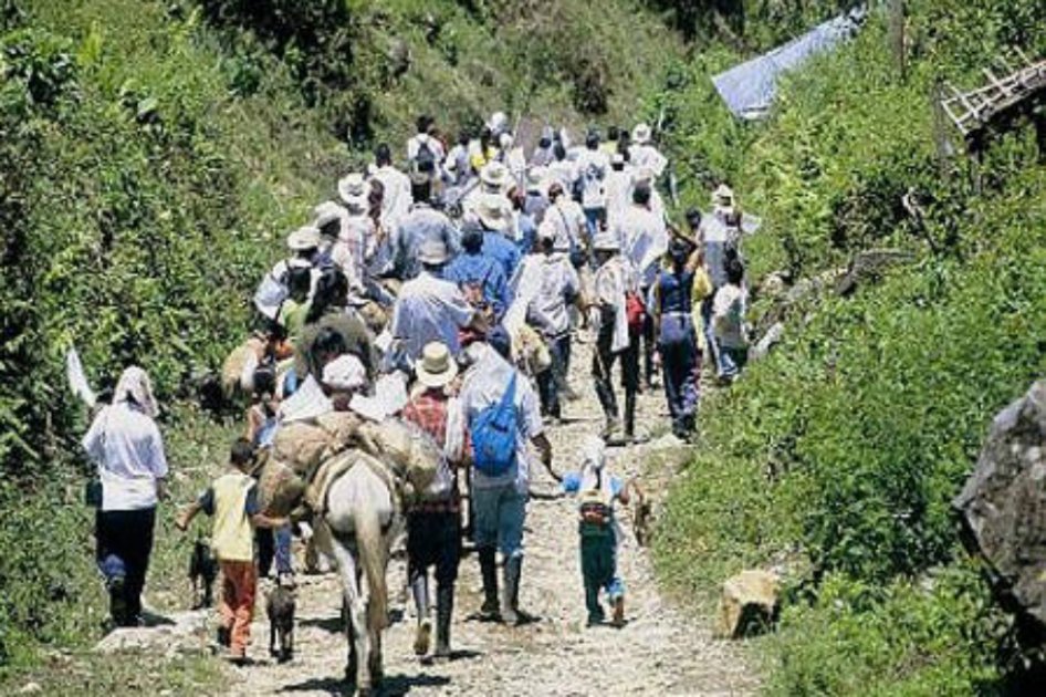 La población desplazada menor o igual a la línea de pobreza llega al 80%, dice informe.