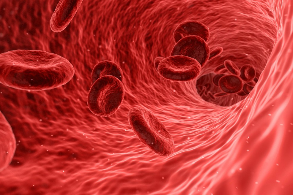 Descubren método para transformar sangre tipo A en O