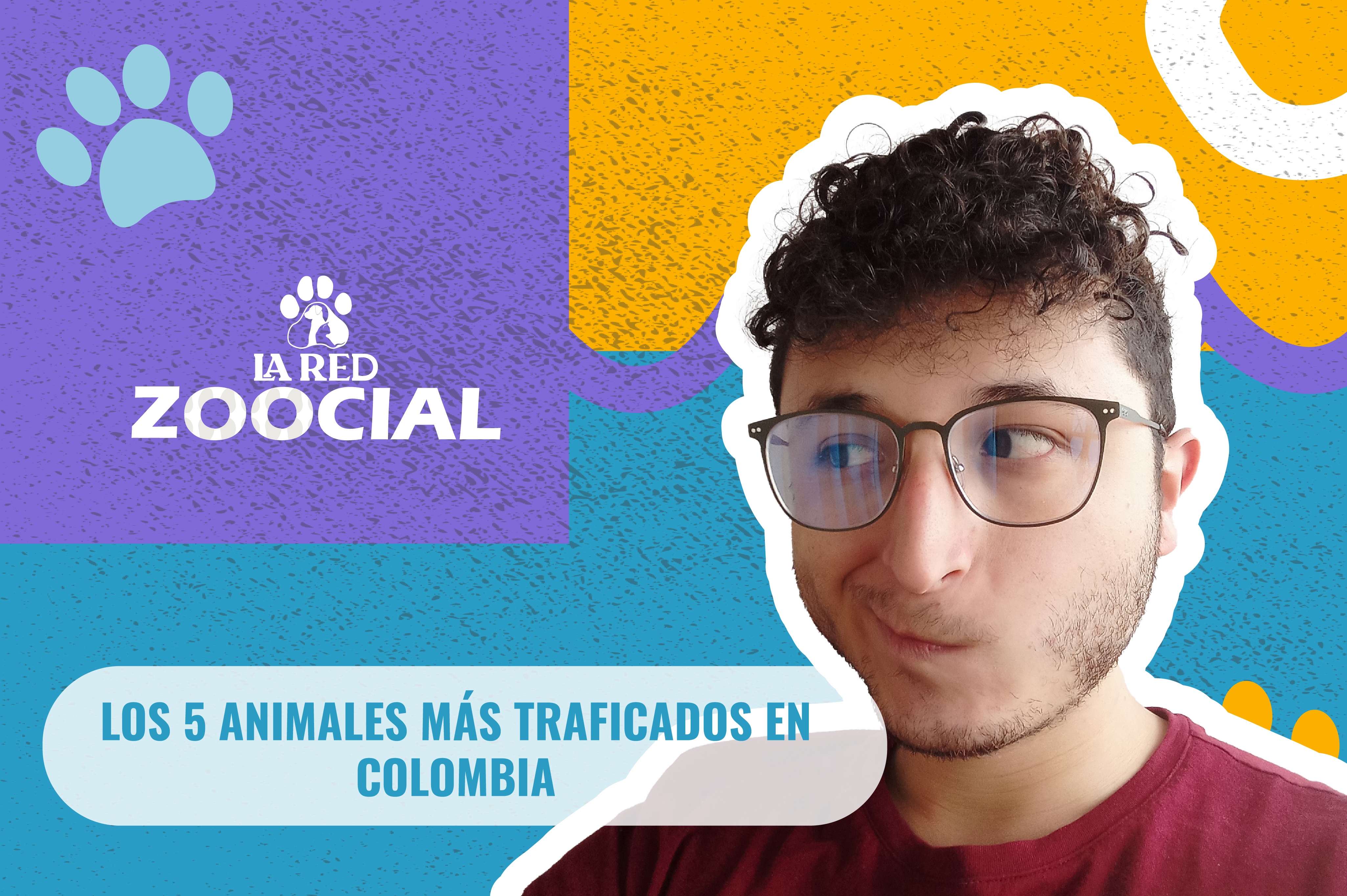 (Video) Los cinco animales más traficados en Colombia
