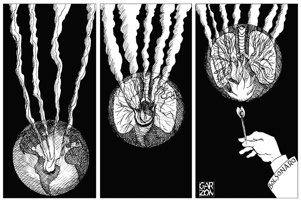Cartones de Garzón